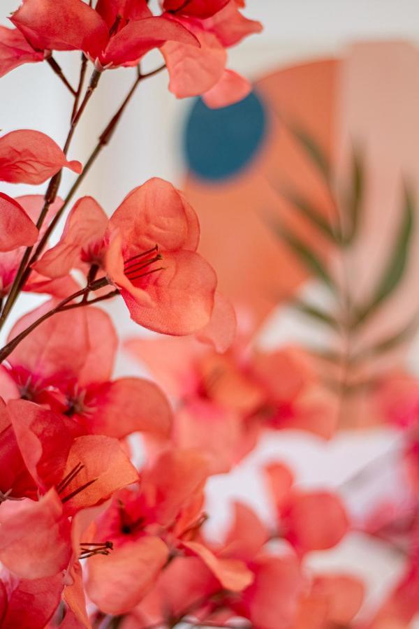 Appartamento Vibrant City Abode - 2 Bed 2 Bath Christchurch Esterno foto